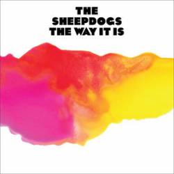 The Sheepdogs : The Way It Is